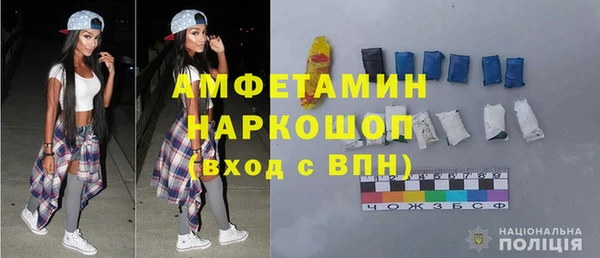 шишки Аркадак