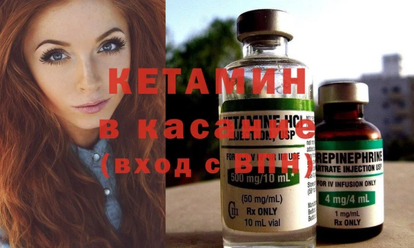 шишки Аркадак